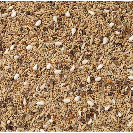 68 - Grandes Perruches Sans Tournesols 20kg - Deli Nature - Image 2