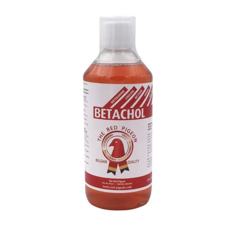 Red Pigeon Betachol 500 Ml - Image 2