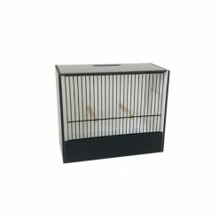 Ost Cage D'exposition Indigène 18 Cm En PVC