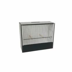 Ost Cage D'exposition Indigène 15 Cm En PVC