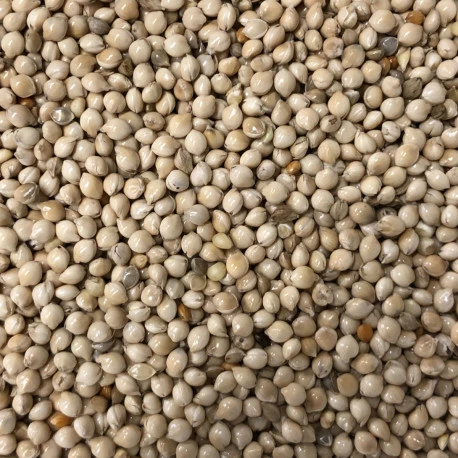 Germix Exotique 4kg - Image 2