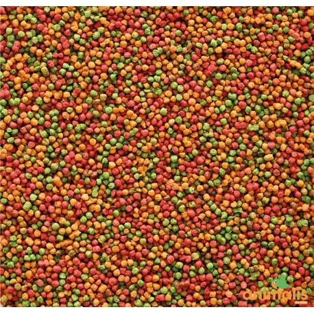 VERSELE-LAGA Nutribird B18 3kg - Image 2